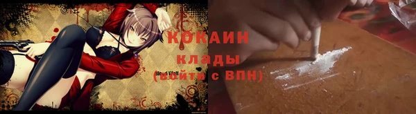 ГАЛЛЮЦИНОГЕННЫЕ ГРИБЫ Костерёво