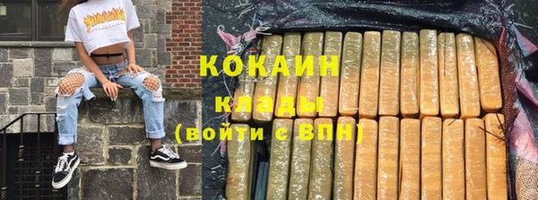 ГАЛЛЮЦИНОГЕННЫЕ ГРИБЫ Костерёво