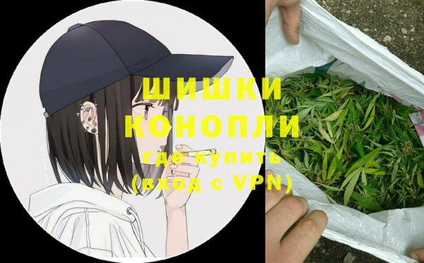 ГАЛЛЮЦИНОГЕННЫЕ ГРИБЫ Костерёво
