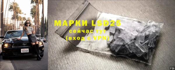 ГАЛЛЮЦИНОГЕННЫЕ ГРИБЫ Костерёво
