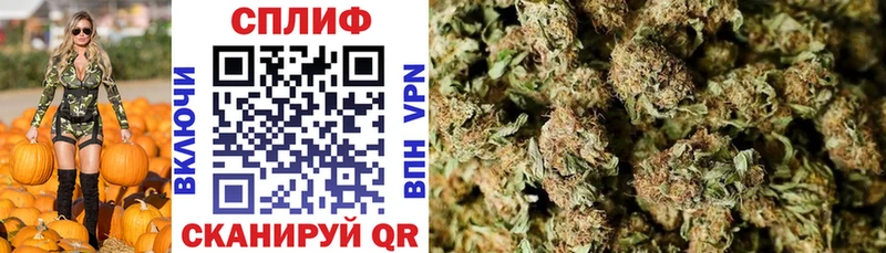 Купить закладки  Электроугли  Конопля план 